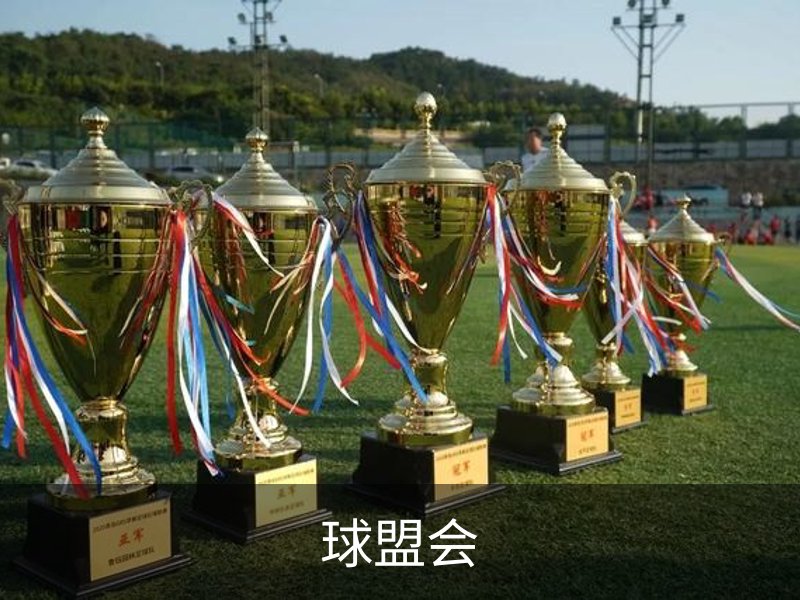 球盟会·QMH (中国)-官方网站