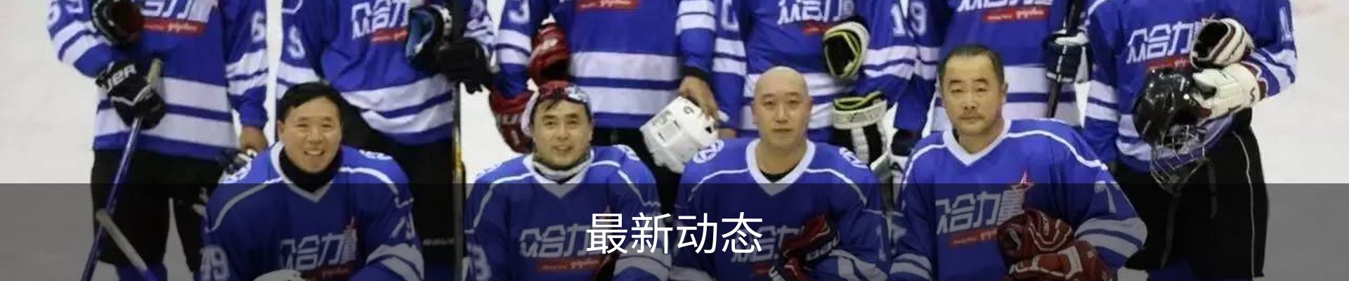 最新动态